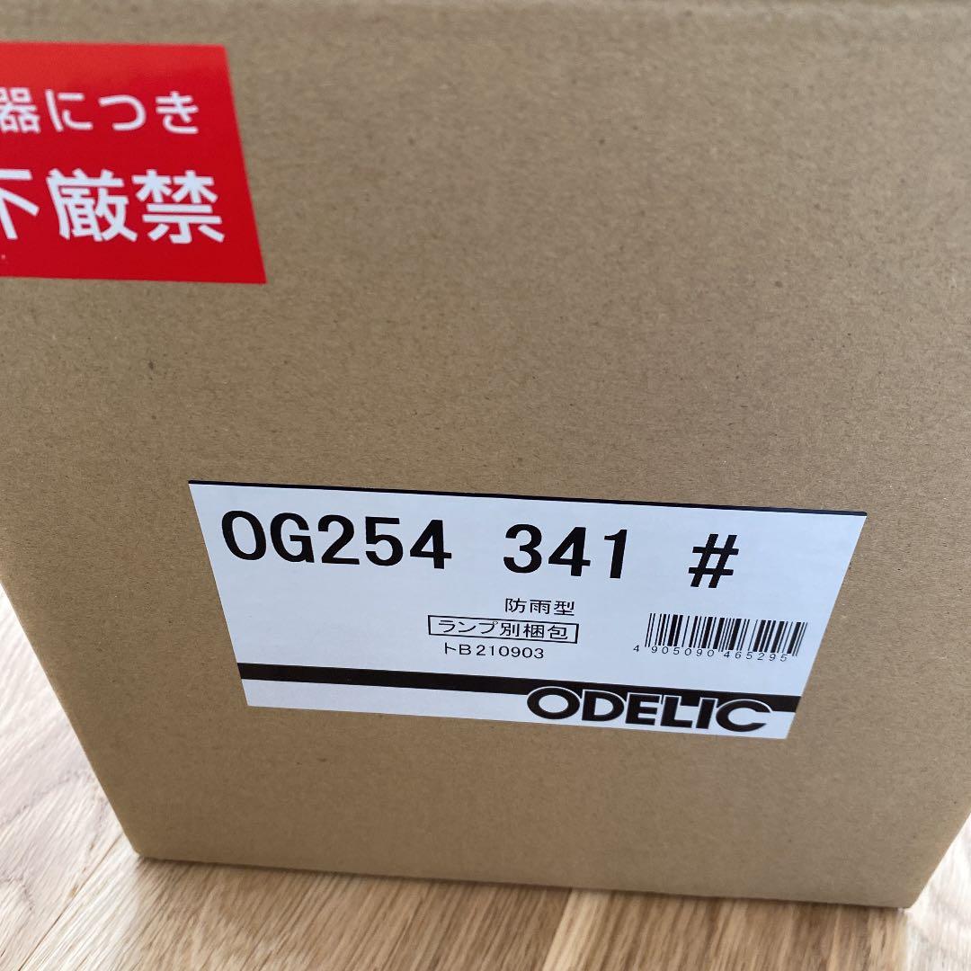 【ザリガニ】ODELIC オーデリック　2個セット　屋外防雨型