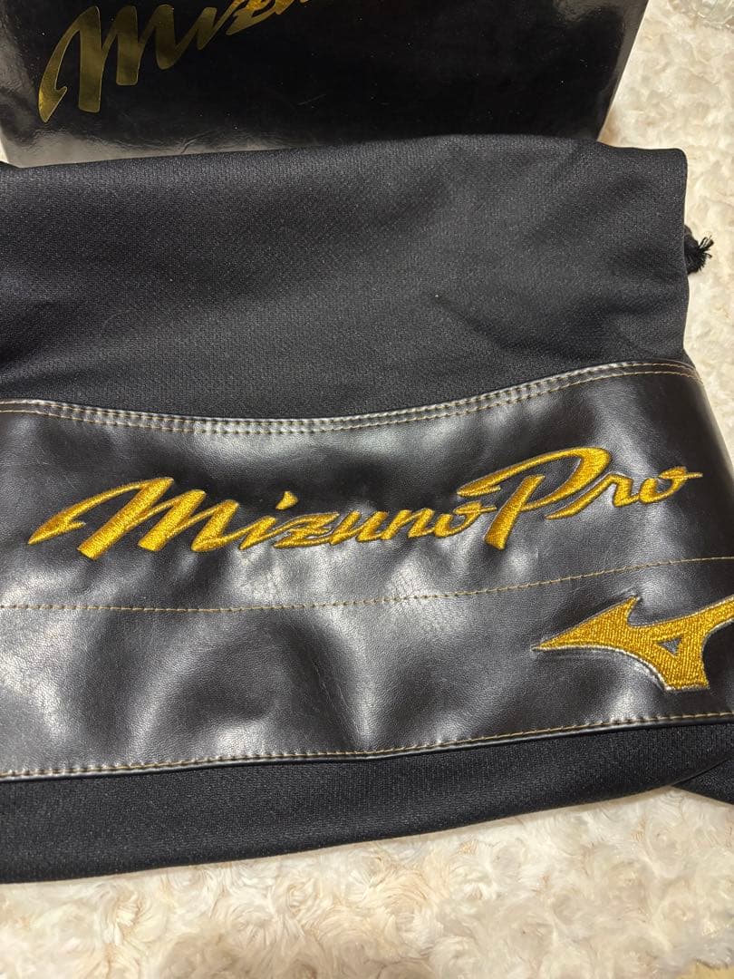 Mizuno Pro 硬式　ファーストミット 1AJFH29810