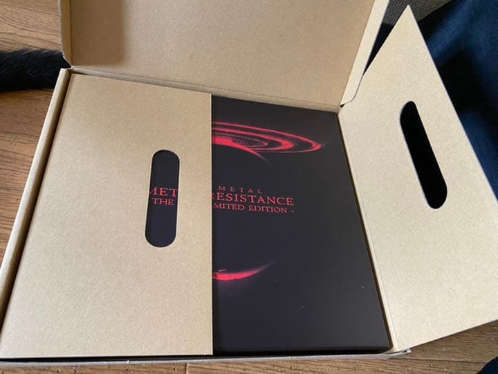 ミュージック BABY L L RESISTANS