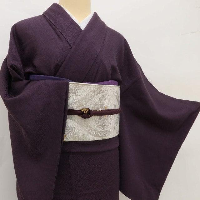 美品 正絹 着物“似せ紫色に待つ繊細でいて優美な菊と変化”色無地 U-51