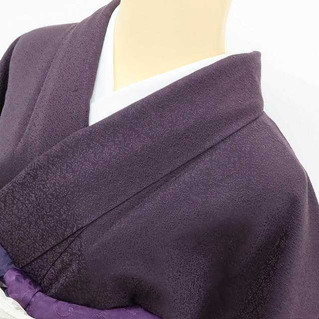 美品 正絹 着物“似せ紫色に待つ繊細でいて優美な菊と変化”色無地 U-51