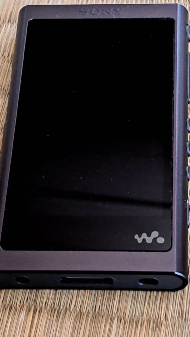 SONY ウォークマン Aシリーズ NW-A55(B)