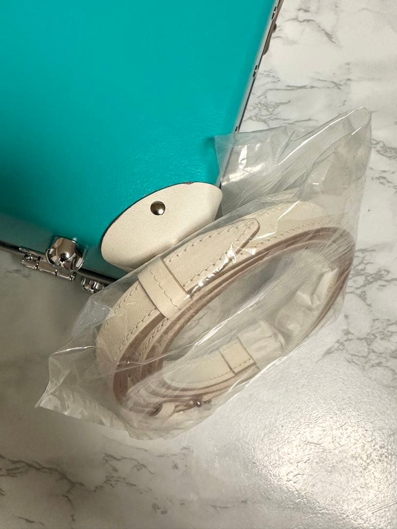 【希少】グローブトロッター　ミニトランク　ティファニーブルー