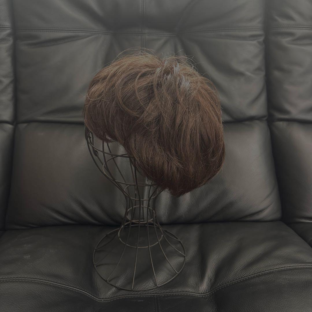 アートネイチャーJOクレアショートM size人毛MIX