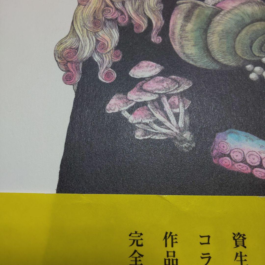 ヒグチユウコ 作品集 初版