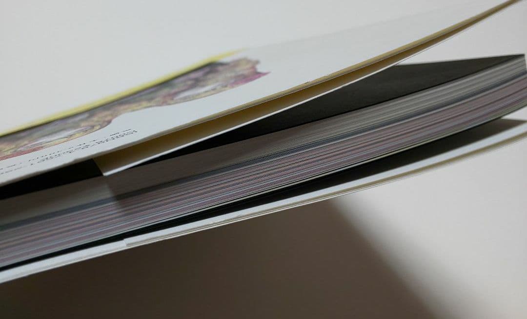 ヒグチユウコ 作品集 初版