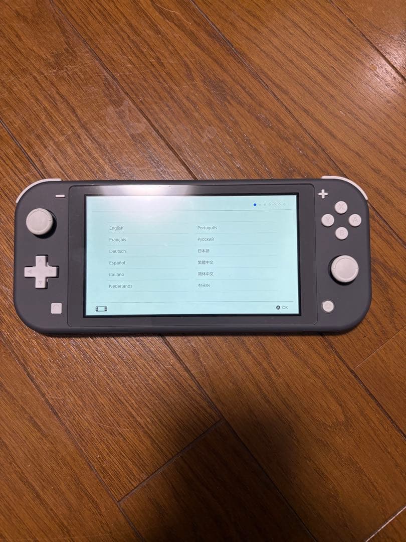Nintendo Switch Lite グレー 本体 + バイオレット