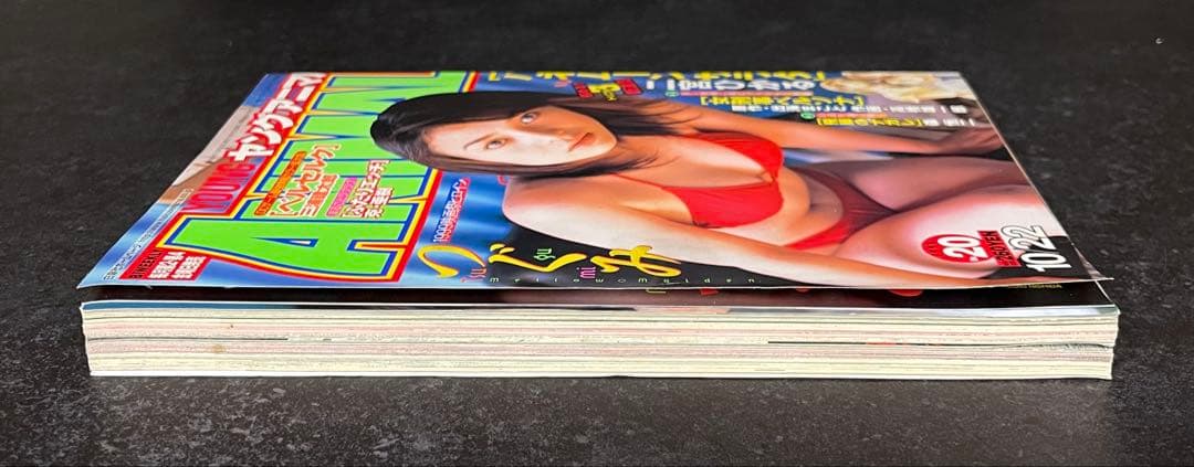 ●ヤングアニマル 1999年 20号 ●ベルセルク 第149話 三浦建太郎