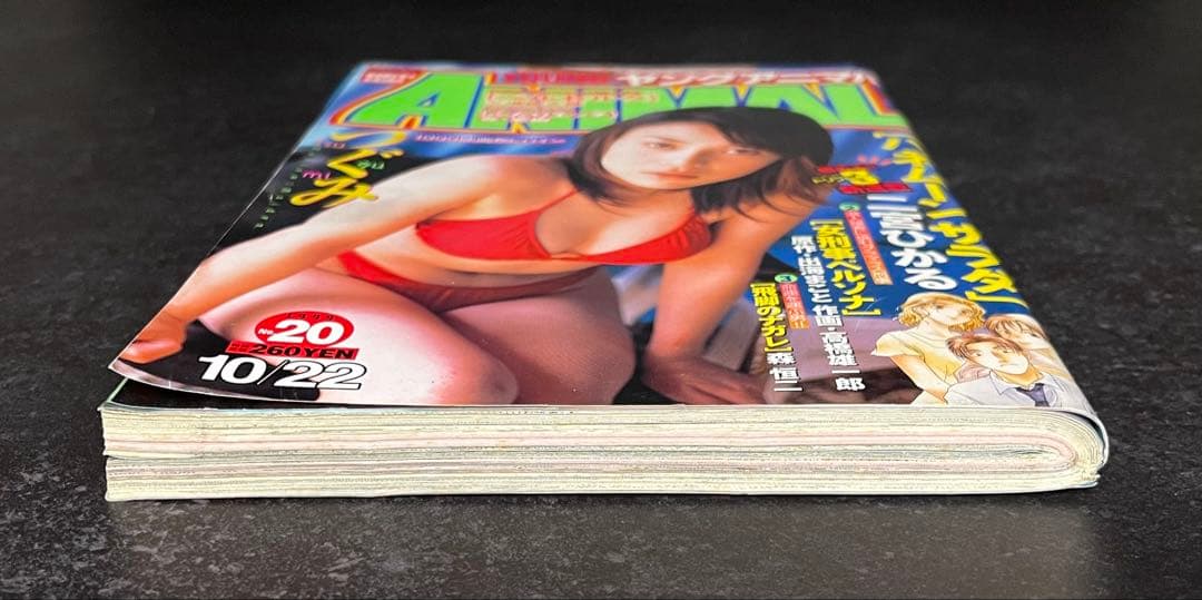 ●ヤングアニマル 1999年 20号 ●ベルセルク 第149話 三浦建太郎