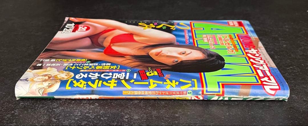 ●ヤングアニマル 1999年 20号 ●ベルセルク 第149話 三浦建太郎