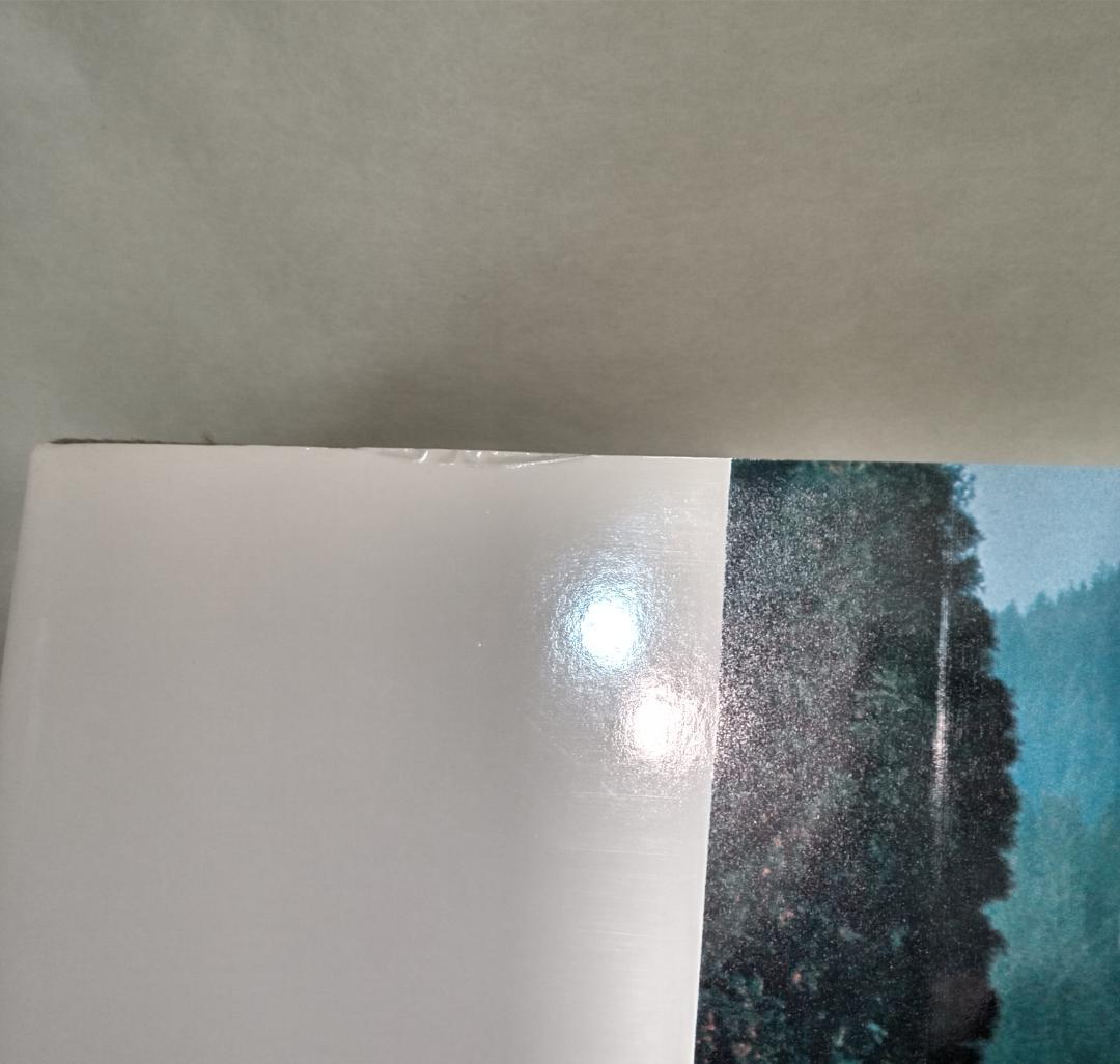 木の民家 ヨーロッパ WOODEN HOUSES IN EUROPE 写真集建築