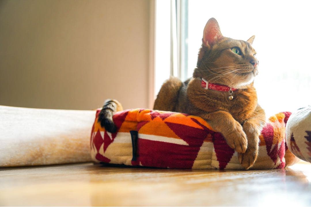 ペットベッド　ハンドメイド463 ペンドルトン　リメイク　猫ベッド　犬ベッド