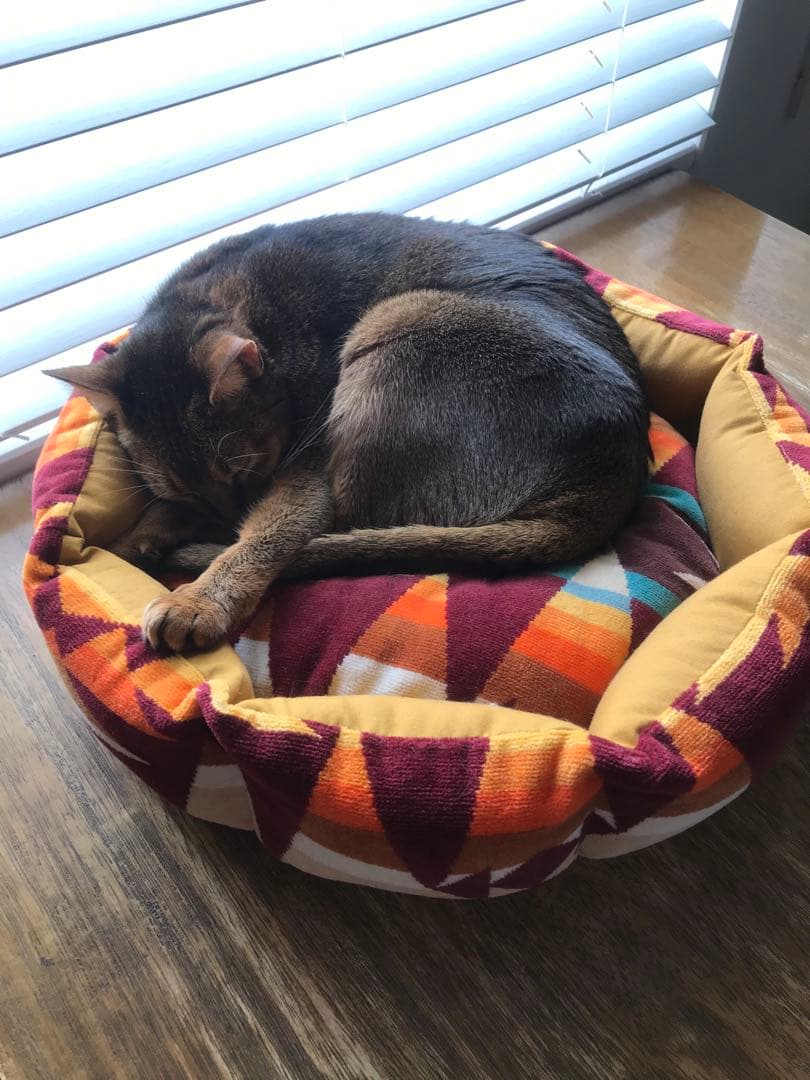 ペットベッド　ハンドメイド463 ペンドルトン　リメイク　猫ベッド　犬ベッド