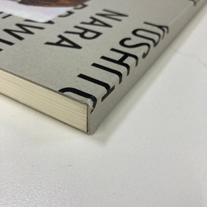 「奈良美智 DRAWING FILE」