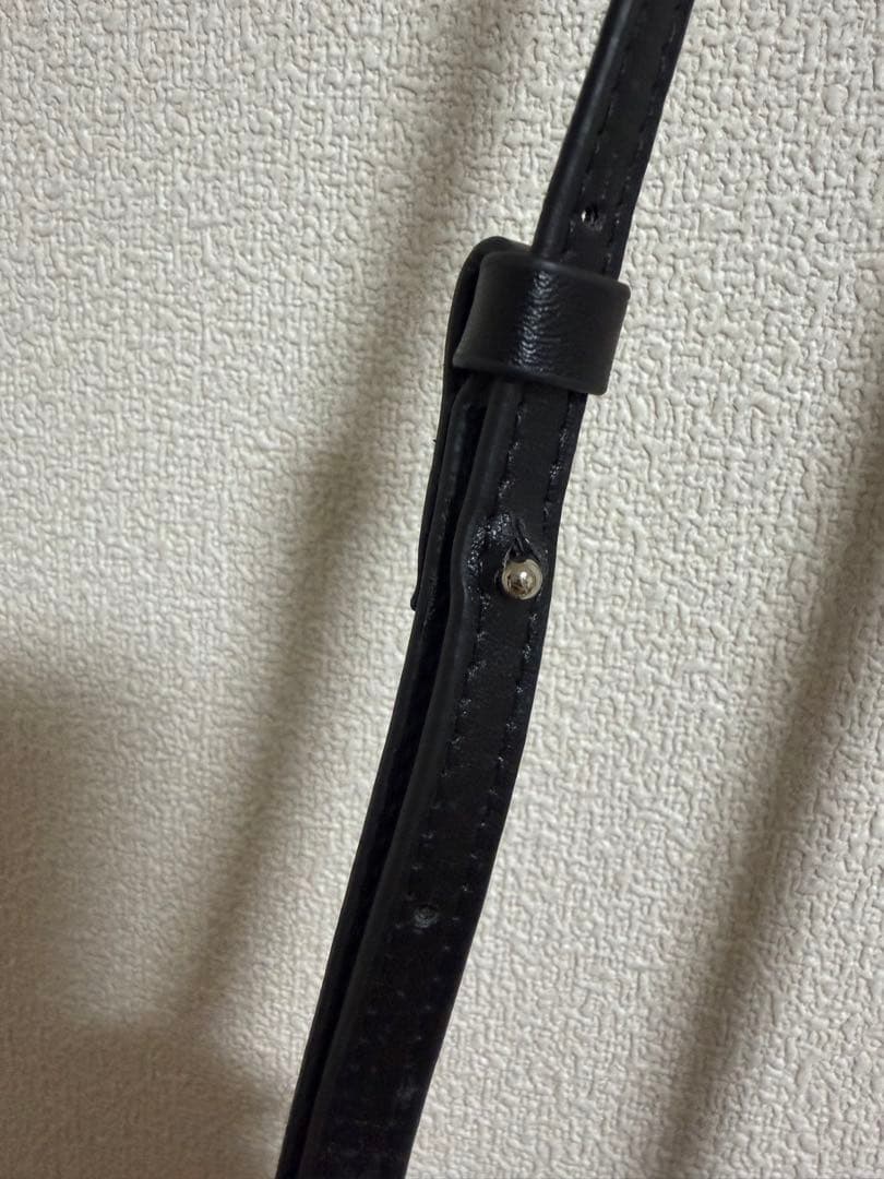 LOEWE ロエベ　ショルダーバッグ　バニーポケット