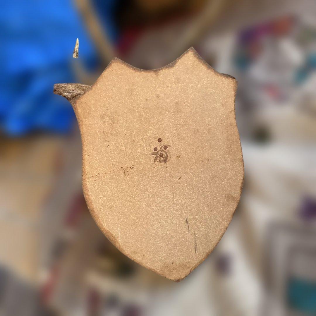 S 鹿　剥製　ハンティングトロフィー　ニホンジカ　壁掛け