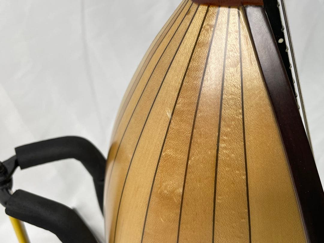 嶋田/エンジェルマンドリン モデル:LO