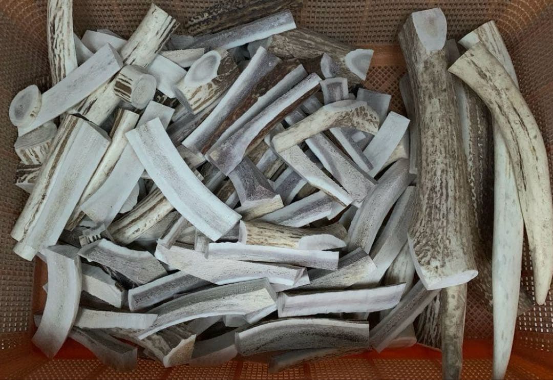 No.2173『鹿角加工材22.5kgセット』鹿の角　エゾ鹿　鹿角　蝦夷鹿