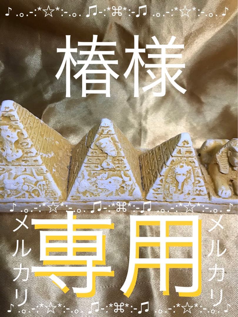 椿X'masセット＋1種類(Gチケット適用)