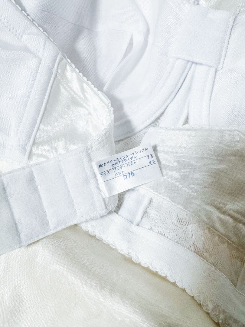 タカミブライダル　セモア　ブライダルインナー 2点セット　専用袋付き