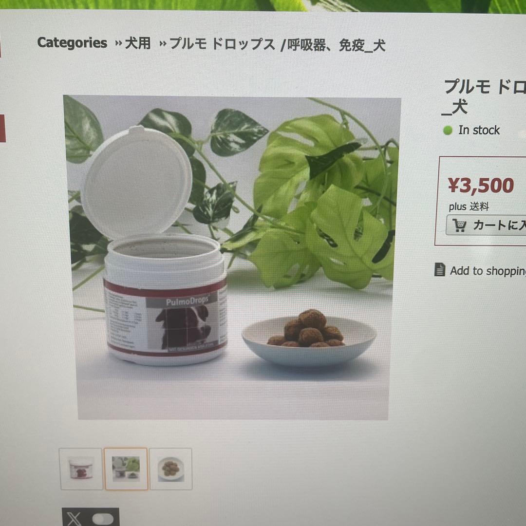 犬用呼吸器免疫力サプリメント 180g×2個