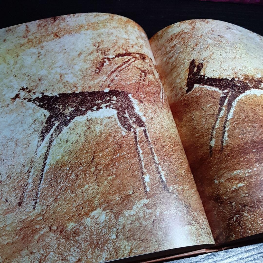 Tassili n'Ajjer タッシリ ナジェール・先史時代のアート（仏語版）