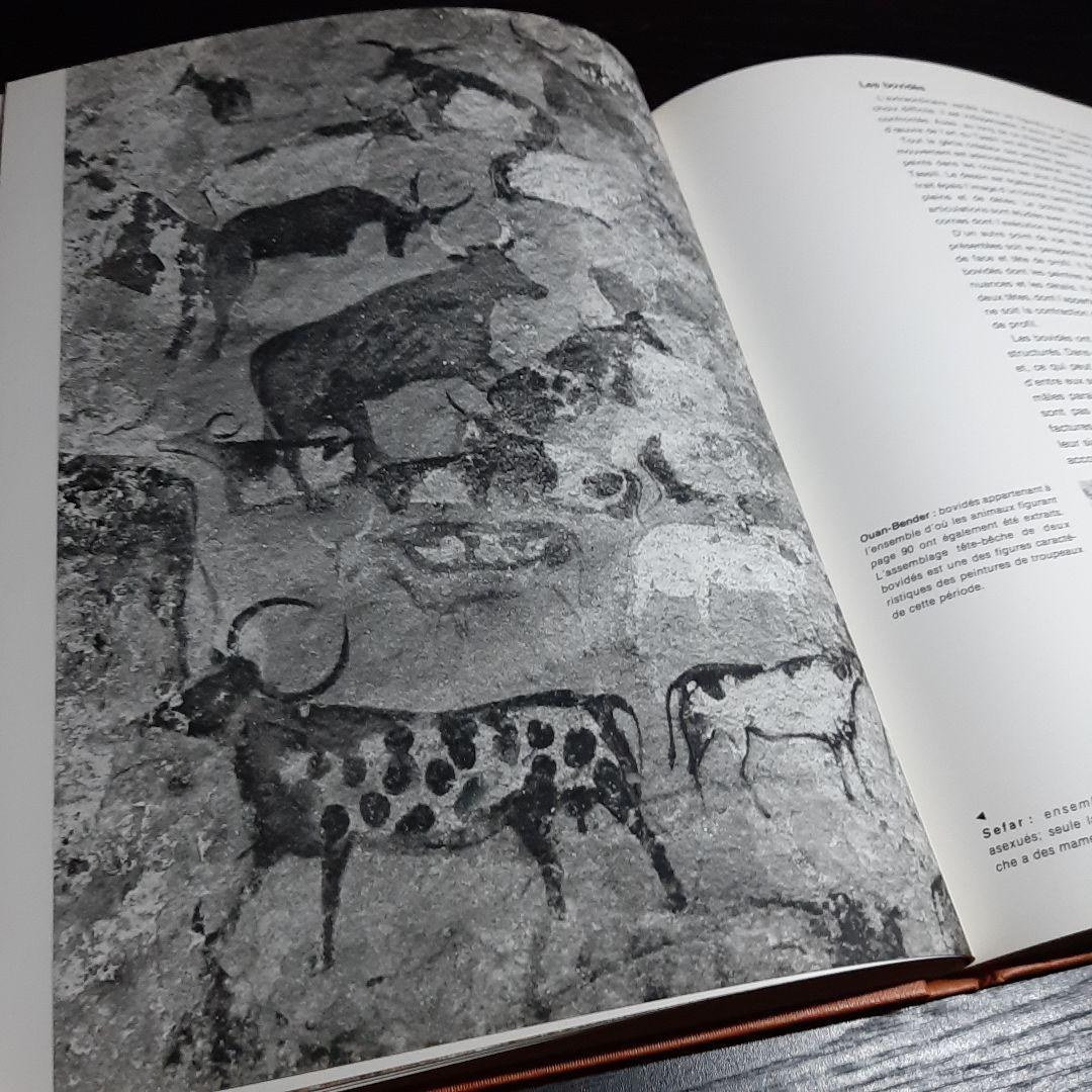 Tassili n'Ajjer タッシリ ナジェール・先史時代のアート（仏語版）