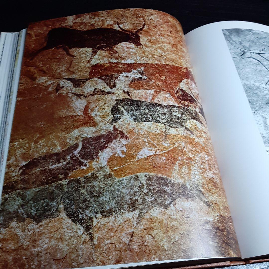 Tassili n'Ajjer タッシリ ナジェール・先史時代のアート（仏語版）