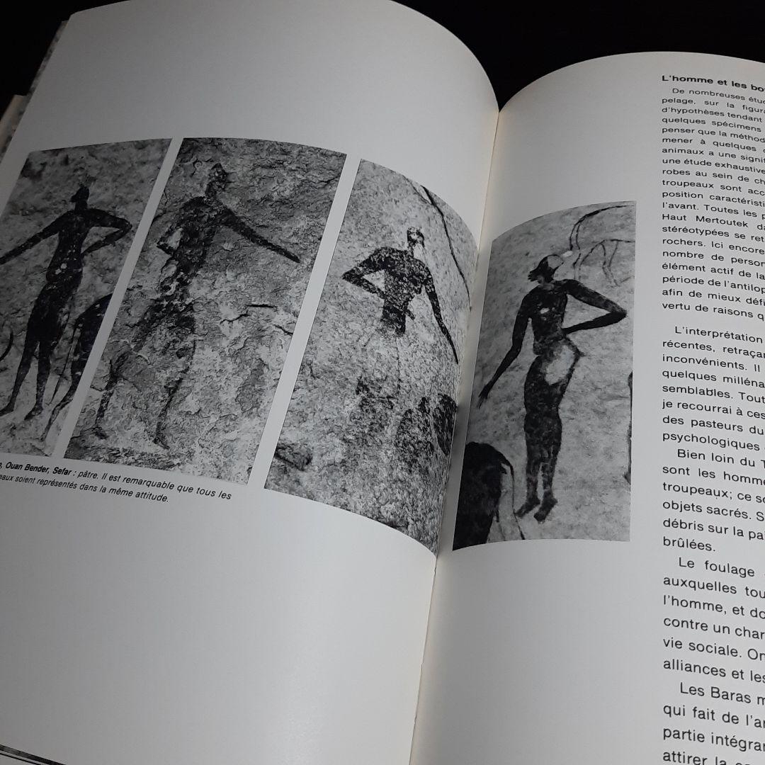 Tassili n'Ajjer タッシリ ナジェール・先史時代のアート（仏語版）
