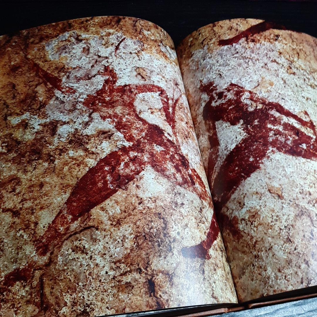 Tassili n'Ajjer タッシリ ナジェール・先史時代のアート（仏語版）