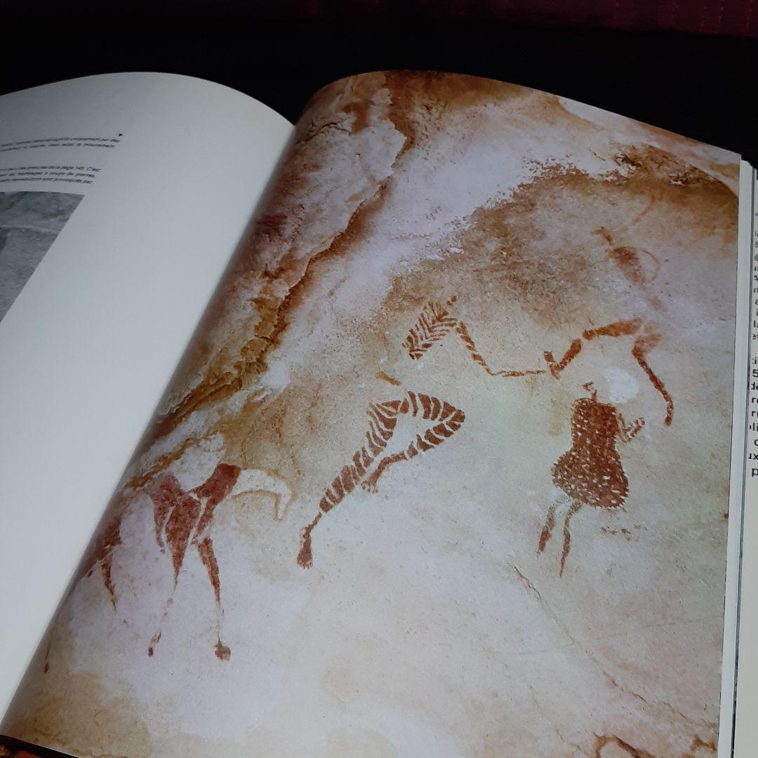 Tassili n'Ajjer タッシリ ナジェール・先史時代のアート（仏語版）