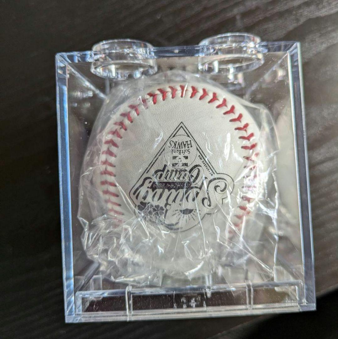 。*。様 ソフトバンクホークス　直筆サインボール　柳田悠岐