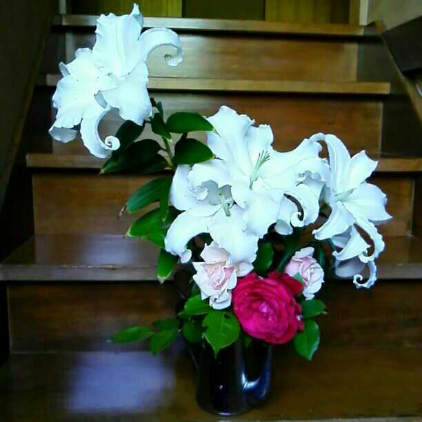 参考品　　自宅庭に咲いた花達！