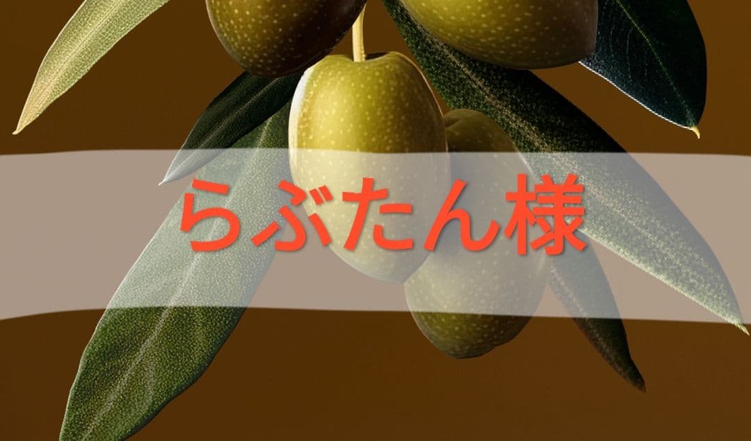 【2/11 AM8時まで】らぶたん様