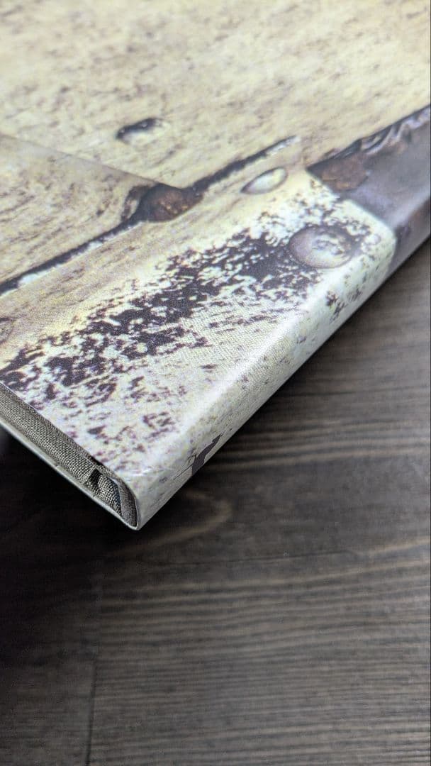 洋書　マイク・ブロディ(MIKE BRODIE )写真集