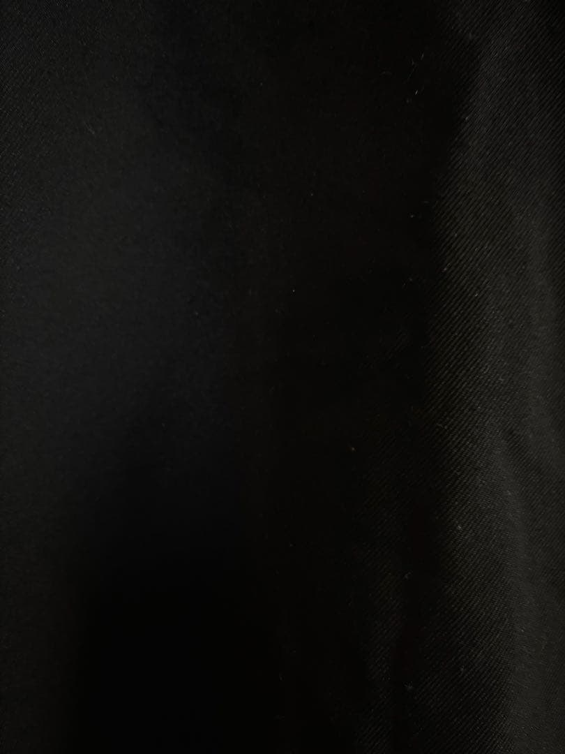 さぼてん　コムデギャルソンCOMME des GARCONS 2023