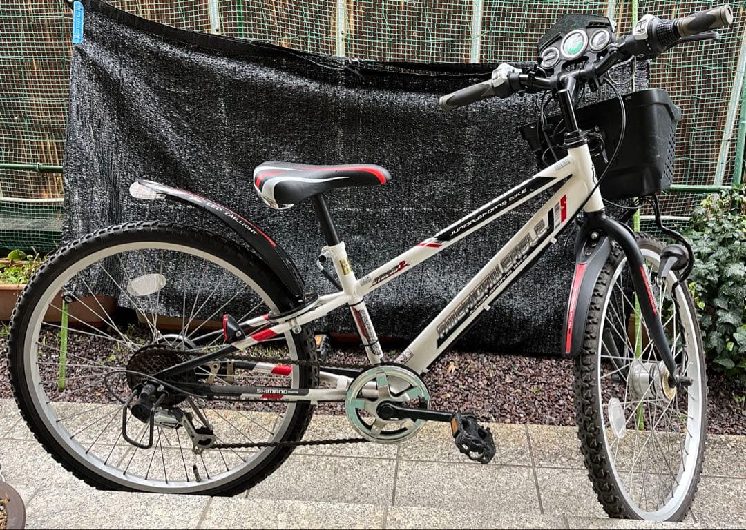 アメリカンイーグル　24インチ