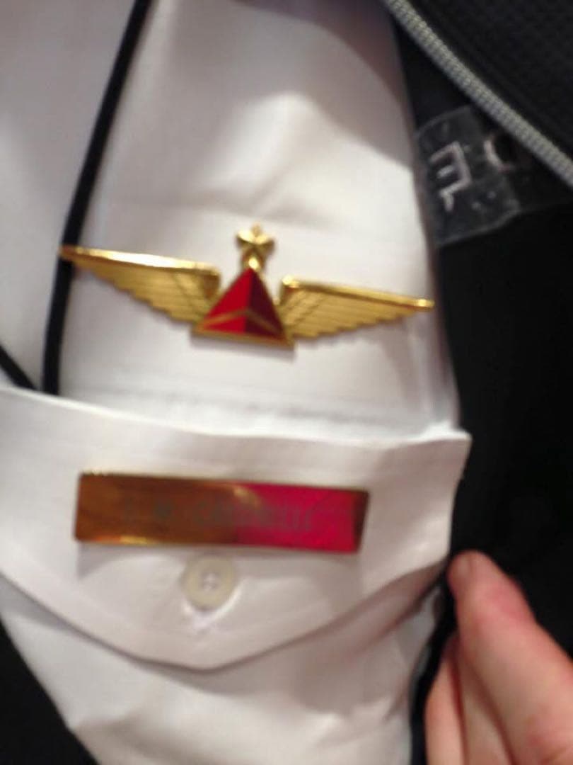 デルタ航空　機長用　コレクター　ピンバッジ　ゴールド　本物　貴重