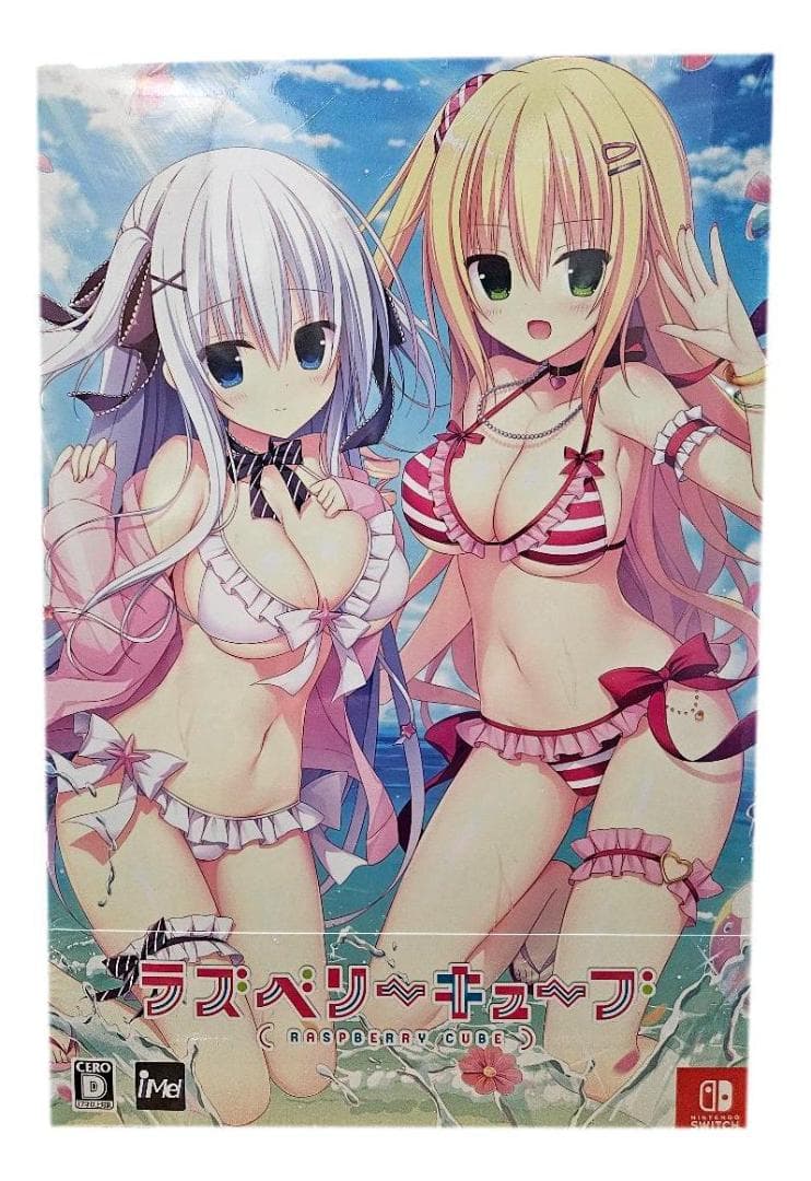 Nintendo Switch ラズベリーキューブ 初回限定特装版