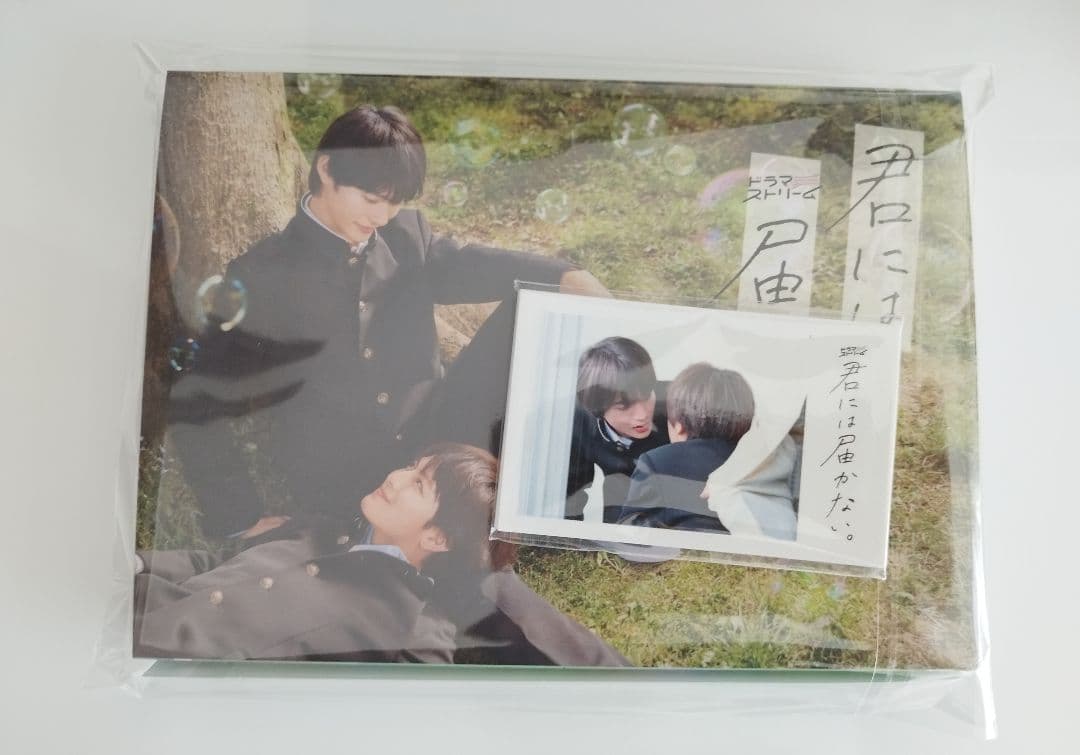 君には届かない DVD フォンタブ カードセット付き 柏木悠 前田拳太郎