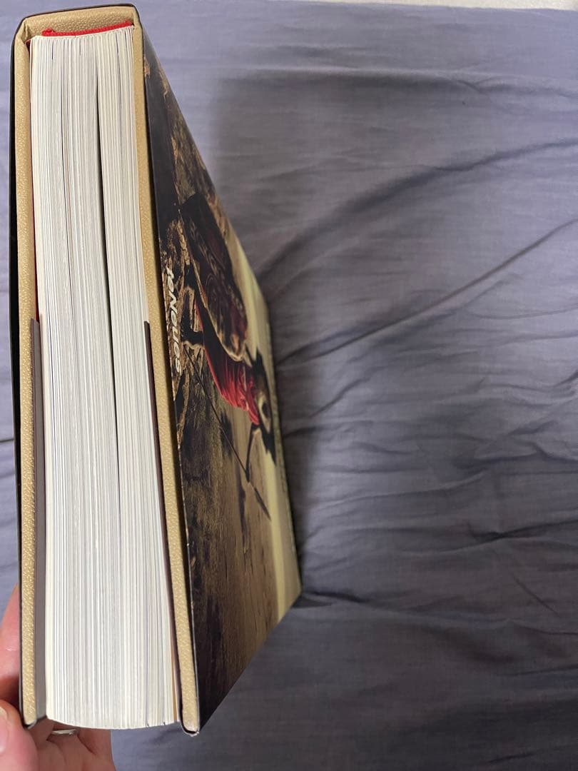 before they pass away ドイツ語版　ハードカバー