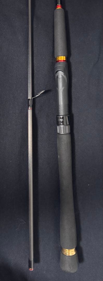 ロッド DAIWA SEABASS HUNTER X 86ML