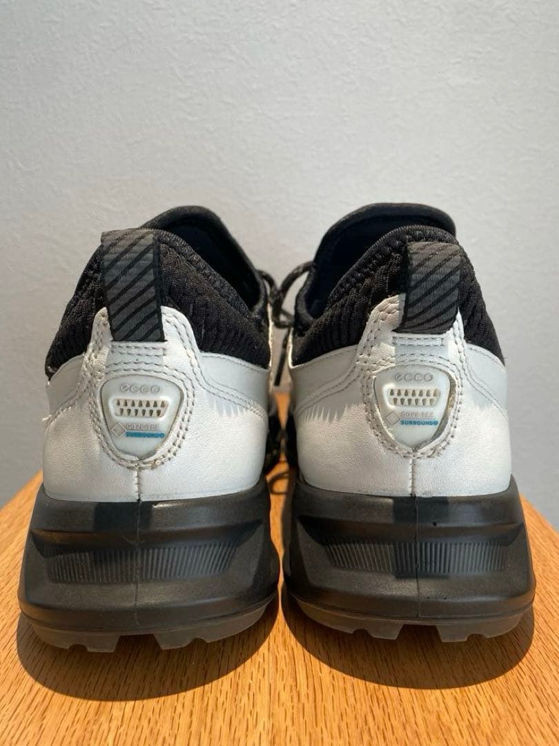 【あしょ様】ecco BIOM C4スパイクレス ゴルフシューズ 靴紐 防水