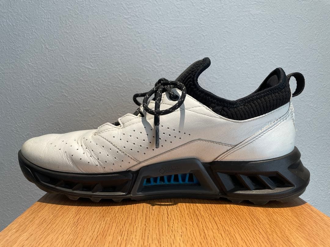 【あしょ様】ecco BIOM C4スパイクレス ゴルフシューズ 靴紐 防水