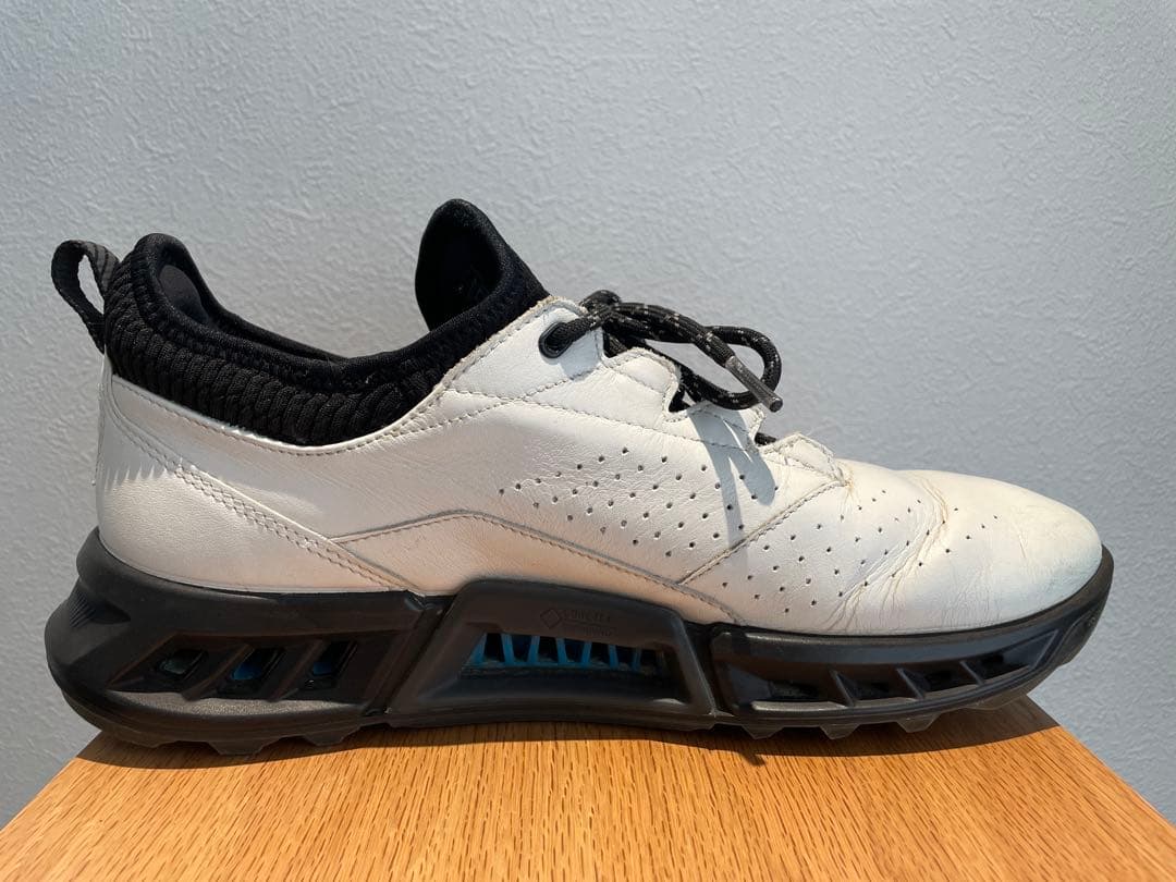 【あしょ様】ecco BIOM C4スパイクレス ゴルフシューズ 靴紐 防水