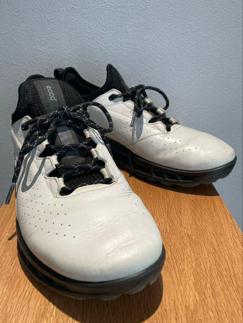 【あしょ様】ecco BIOM C4スパイクレス ゴルフシューズ 靴紐 防水