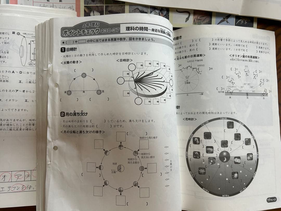 SAPIX 4年 理科 一年分 フルセット2015年 デイリースプリングサマー
