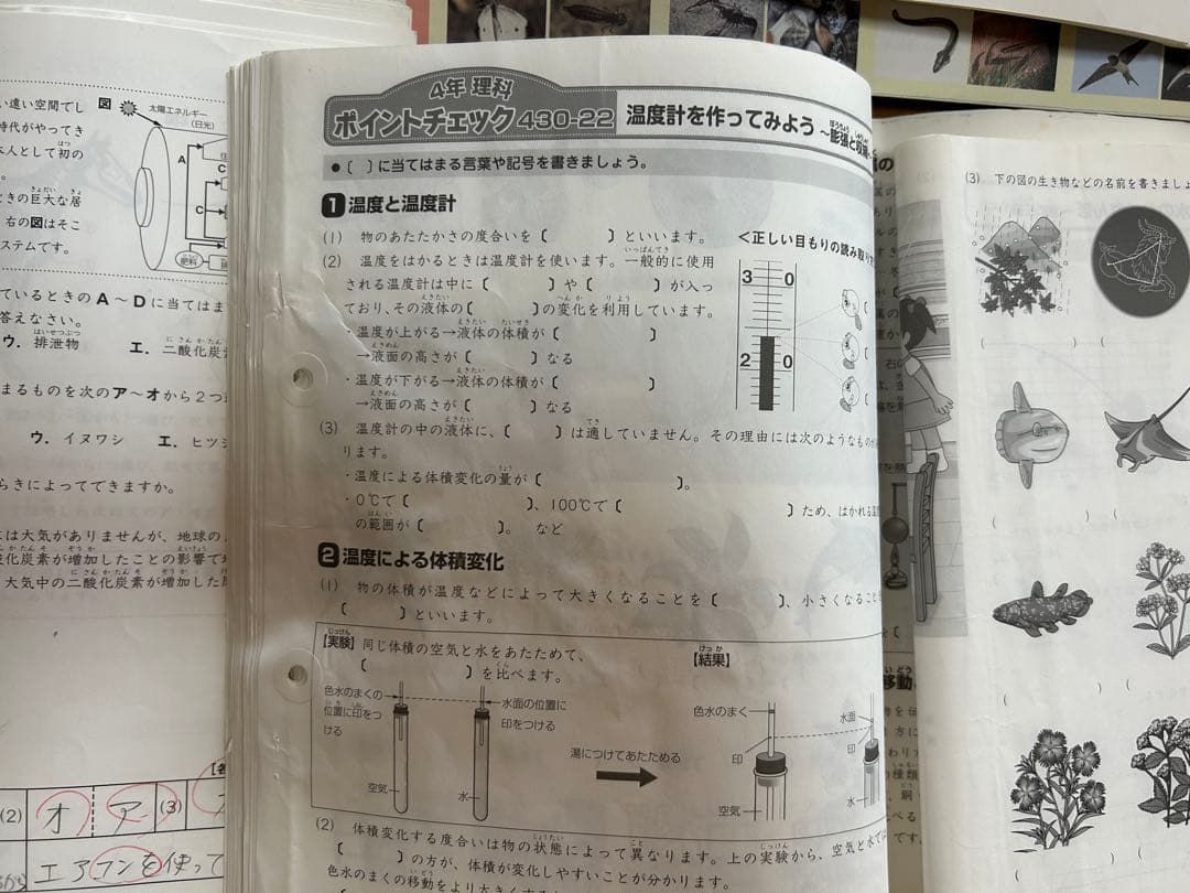 SAPIX 4年 理科 一年分 フルセット2015年 デイリースプリングサマー
