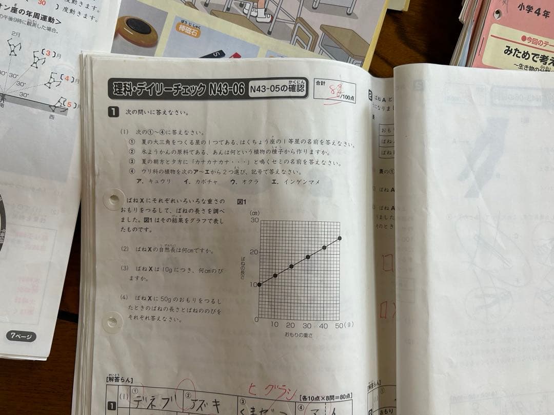 SAPIX 4年 理科 一年分 フルセット2015年 デイリースプリングサマー