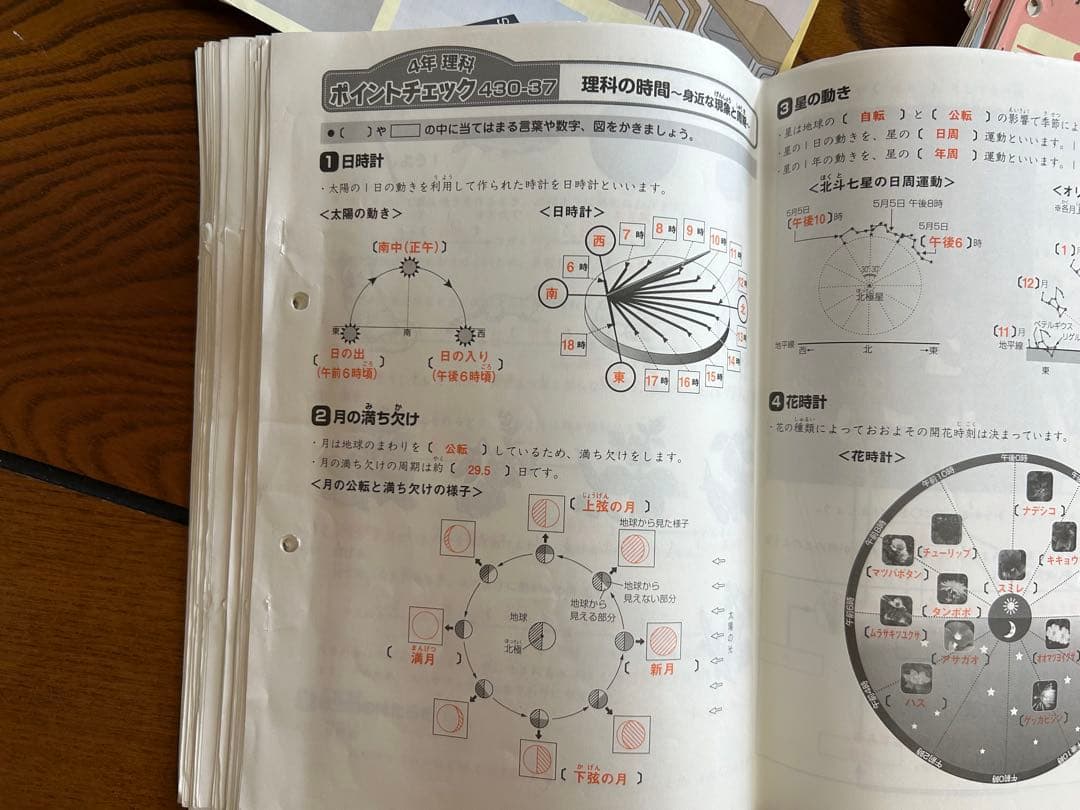 SAPIX 4年 理科 一年分 フルセット2015年 デイリースプリングサマー